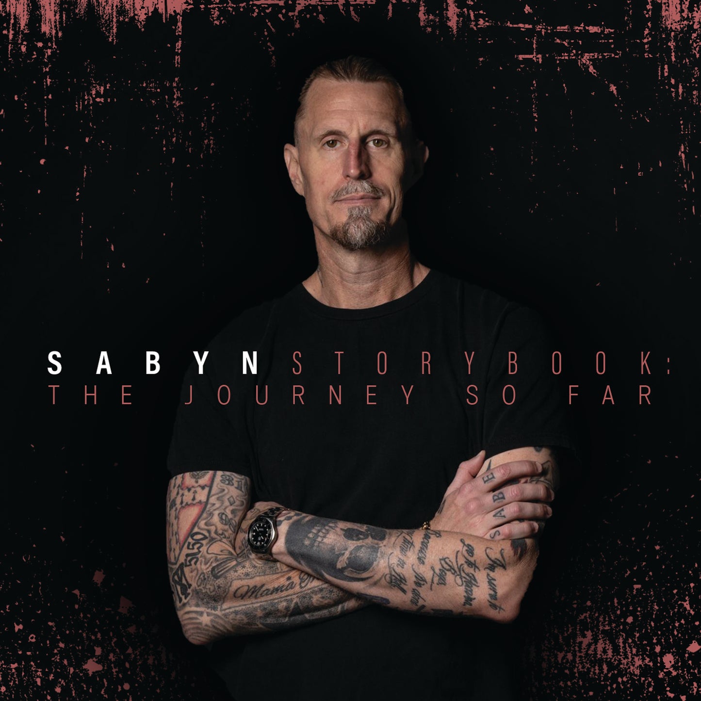 Storybook: The Journey So Far Digital Album